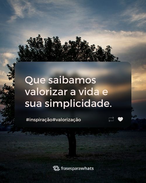 Frases de Valorização +53 Opções que Falam da Importância de Aproveitar a Vida