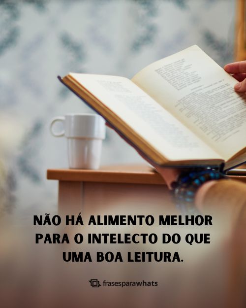 Frases sobre Leitura mostrando a importante de ler e aprender