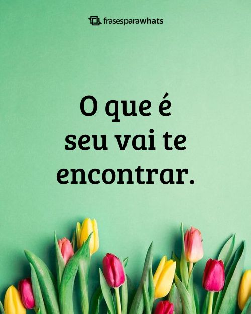 213 Frases para Fotos Sozinha (curtinhas e originais)