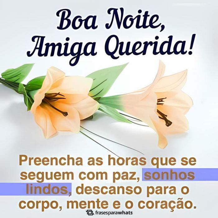 Mensagens de Boa Noite +60 Opções de Frases Prontas para Compartilhar