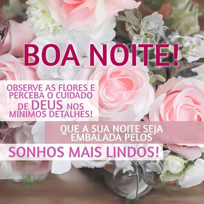 Mensagens de Boa Noite +60 Opções de Frases Prontas para Compartilhar