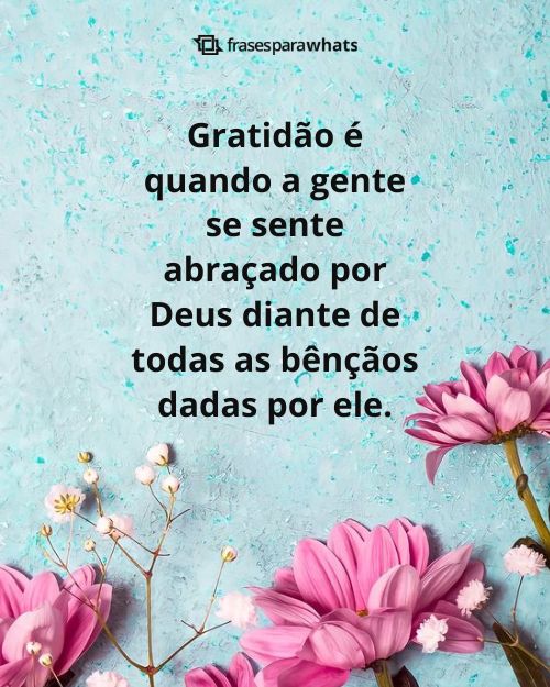 Frases de Agradecimento a Deus +120 Opções para Você Externar a sua Gratidão!