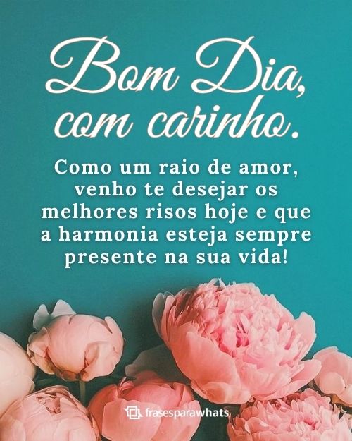 Frases de Bom Dia com Carinho: Compartilhe Doces Mensagens de Bom Dia