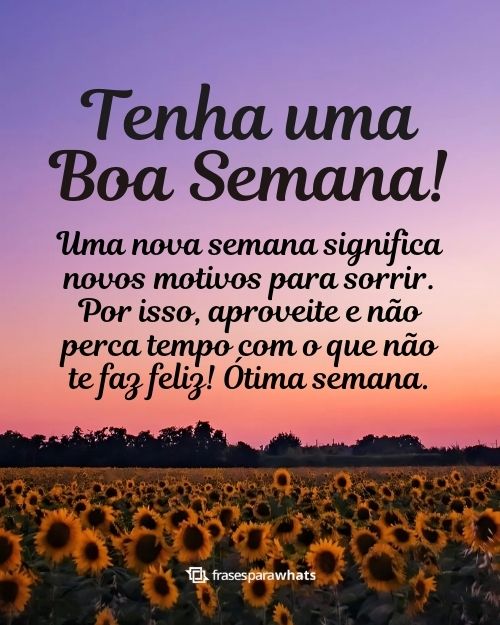 183 Frases de Boa Semana: com motivação e sabedoria - Frases para Whats