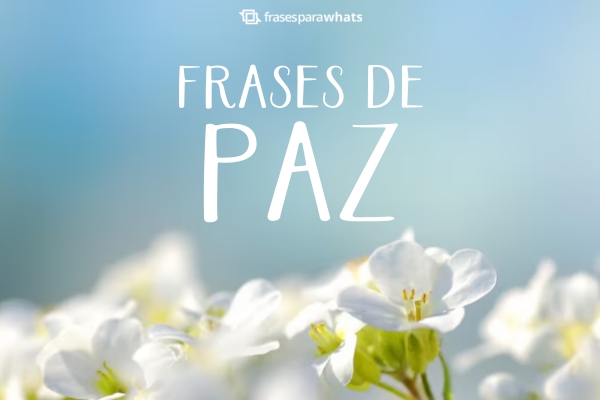 107 Frases curtas de Paz para Status (Paz interior e na Alma) - Frases ...