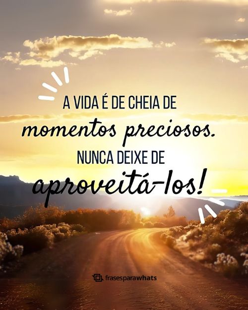 Colecionando Momentos: 69 Frases sobre criar memórias - Frases para Whats