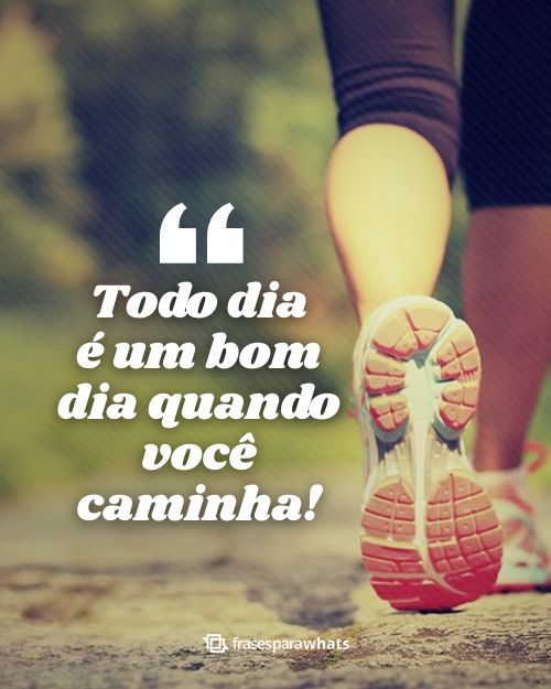 105 Frases Curtas de Caminhada ao Ar Livre para Status - Frases para Whats