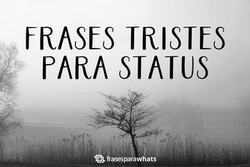 Imagem do post 287 Frases Tristes para Status (de quem está magoada com a vida)