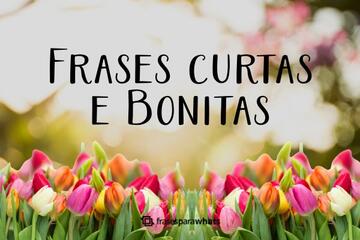Imagem do post 47 Frases curtas e Bonitas para Status de Fotos