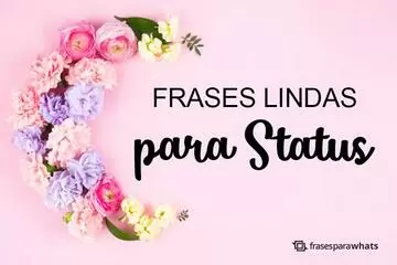 Imagem do post relacionado: Frases Lindas para Status