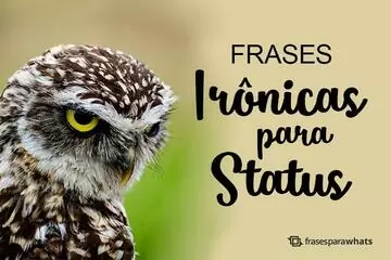 Imagem do post relacionado: Frases Irônicas para Status