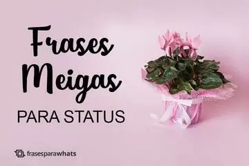 Imagem do post relacionado: Frases Meigas para Status