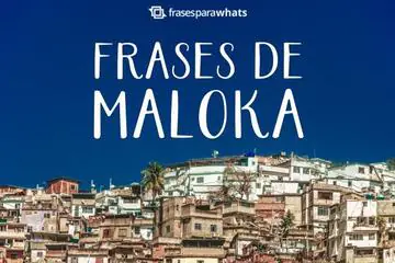 Imagem do post relacionado: Frases de Maloka +99 Opções Para Passar a Visão no Status